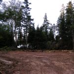 C.D. Blue Forestry - Lot Clearing and Mulching